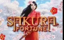 Обложка игры Sakura Fortune